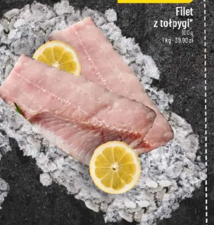 Filet z tołpygi