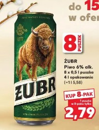 Żubr Piwo 6% alk.