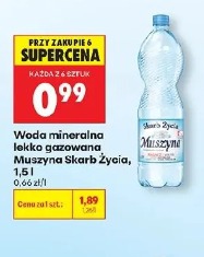 Woda mineralna lekko gazowana Muszyna Skarb Życia, 1,5 l