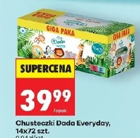 Dada Everyday chusteczki
