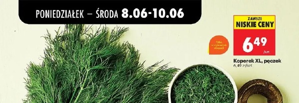Koperek XL, pęczek