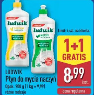 Ludwik Płyn do mycia naczyń