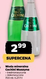 Woda mineralna Cechini Muszyna
