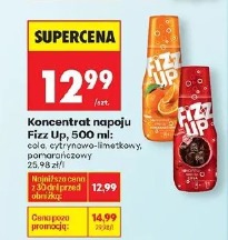 Koncentrat napoju Fizz Up