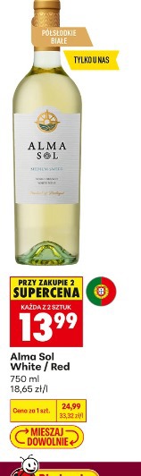 Alma Sol White / Red
