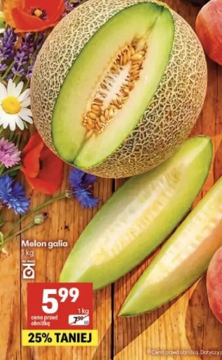 Melon galia
