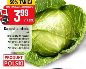 Kapusta młoda