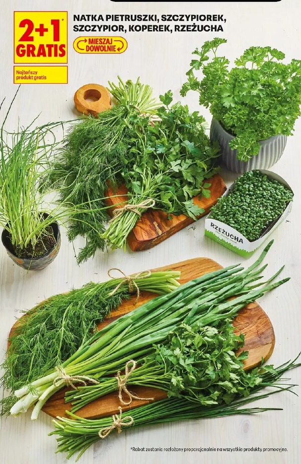 Natka pietruszki, szczypiorek, szczypior, koperek, rzeżucha