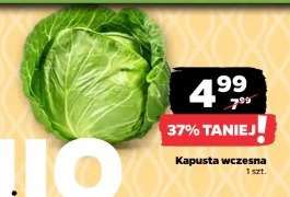 Kapusta wczesna