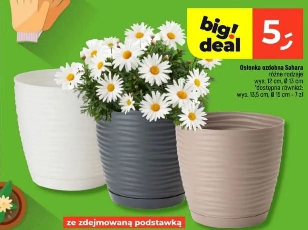 Osłonka ozdobna Sahara