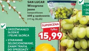 San Lucar Winogrona jasne bezpestkowe 600 g opakowanie
