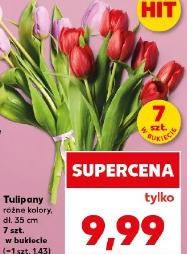 Tulipany