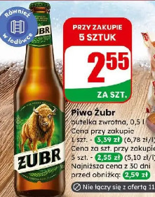 Żubr piwo