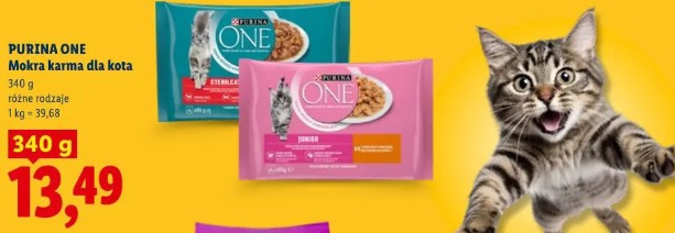 Purina One Mokra karma dla kota