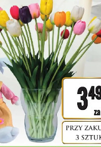 Tulipan gumowy różne kolory