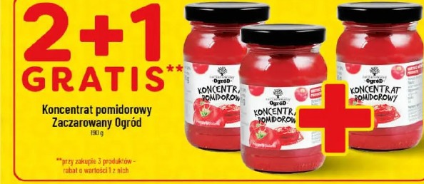 Koncentrat pomidorowy Zaczarowany Ogród