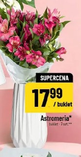 Astromeria