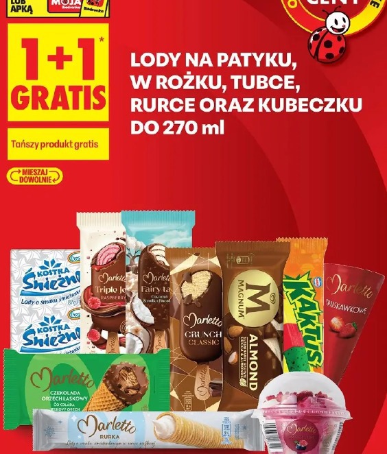 Lody na patyku, w rożku, tubce, rurce oraz kubeczku do 270 ml