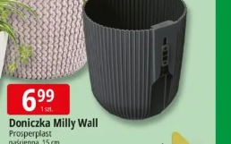 Doniczka Milly Wall Prosperplast