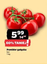 Pomidor gałązka