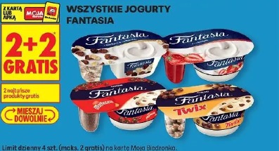 Wszystkie jogurty Fantasia
