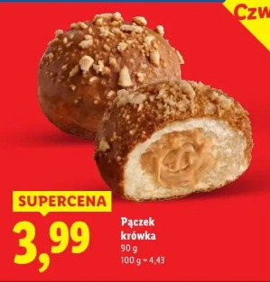 Pączek krówka