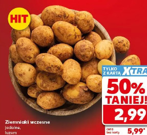 Ziemniaki wczesne jadalne