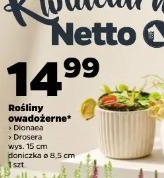 Rośliny owadożerne