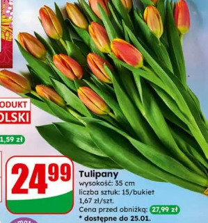 Tulipany