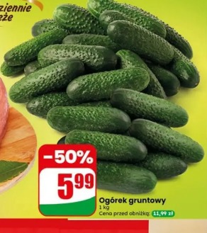 Ogórek gruntowy