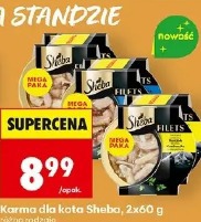 Karma dla kota Sheba