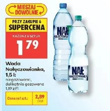 Woda Nałęczowianka