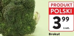 Brokuł