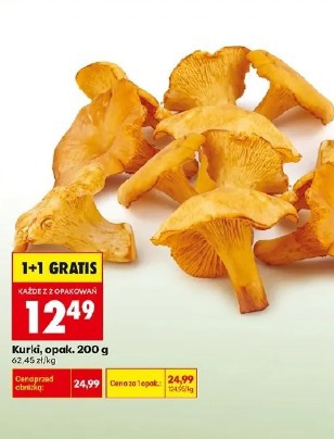 Kurki