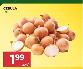 Cebula