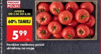 Pomidor malinowy polski