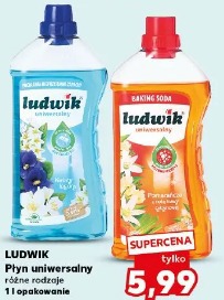 Ludwik Płyn uniwersalny różne rodzaje 1 l opakowanie