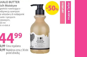 Aholo Butter Rich Moisture japoński nawilżająco-odżywczy szampon do włosów z 6 rodzajami masła i syropem klonowym