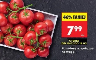 Pomidory na gałązce