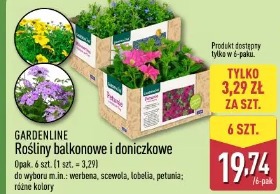 Gardenline Rośliny balkonowe i doniczkowe