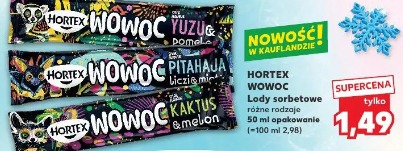 Hortex Wowoc Lody sorbetowe różne rodzaje