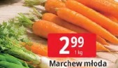 Marchew młoda