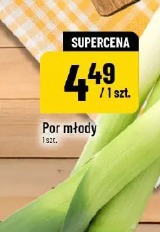 Por młody