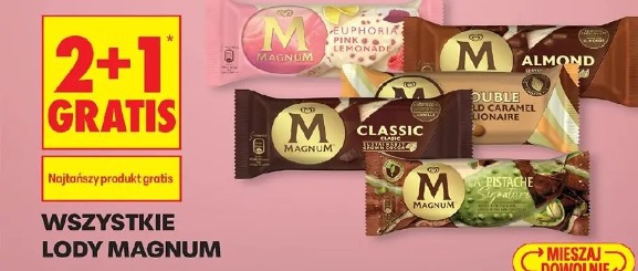 Wszystkie lody Magnum