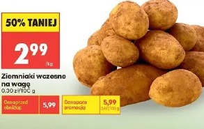 Ziemniaki wczesne