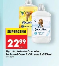 Płyn do płukania Coccolino Perfume&Care