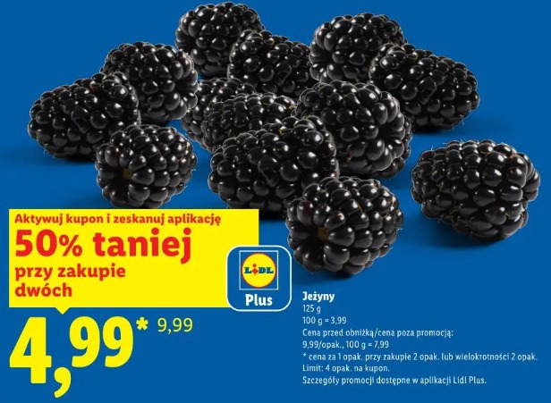Jeżyny 