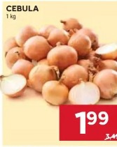 Cebula