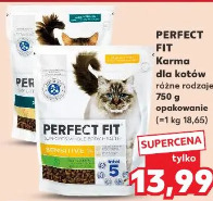 Perfect Fit Karma dla kotów