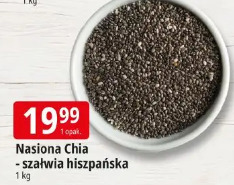 Nasiona Chia - szałwia hiszpańska